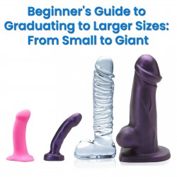 Beginner's Guide to Graduating to Larger Sizes: From Small to Giant