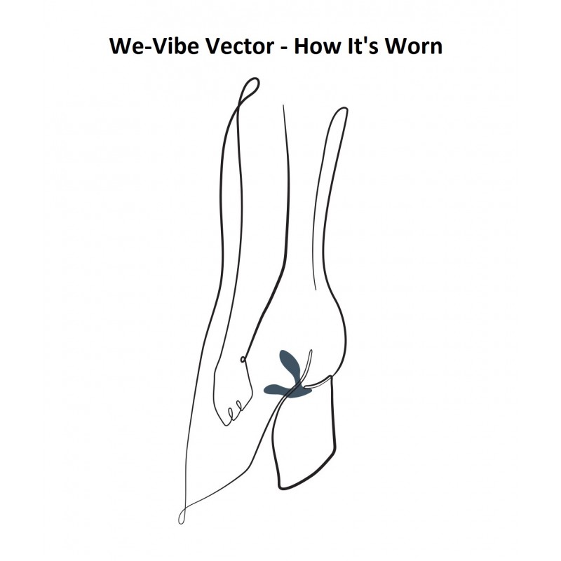 Vector by We-Vibe
