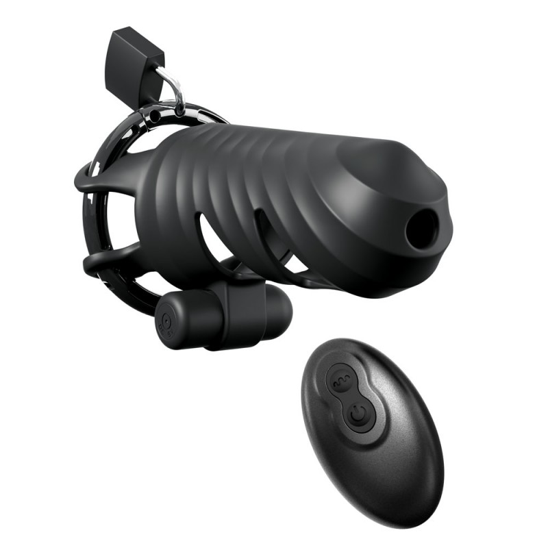 Fantasy C-Ringz Remote-Controlled Vibrating Cock Blocker Fantasy C-Ringz Remote-Controlled Vibrating Cock Blocker