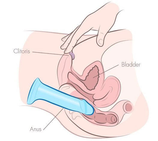 Anal Dildo Technique