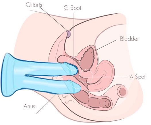 Double Penetration Dildo Technique