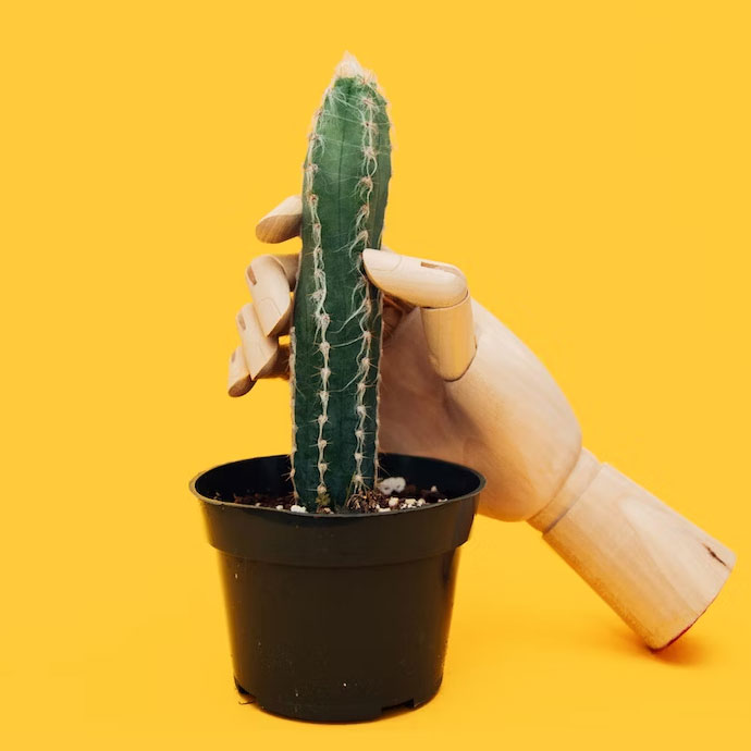 robot hand holding a cactus